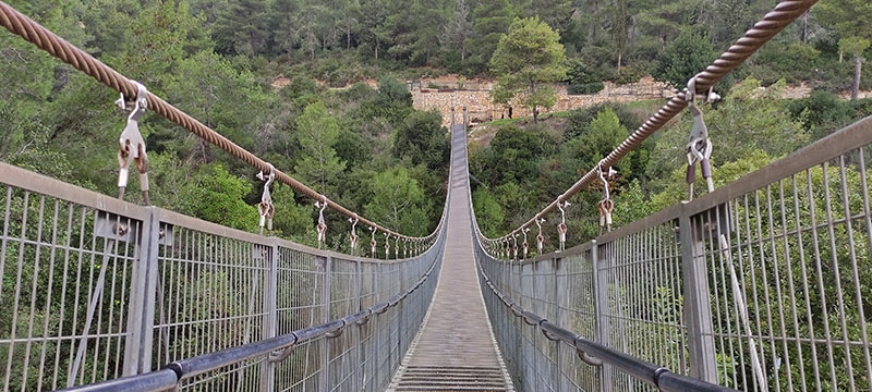 הגשר הראשון בפארק הגשרים בנשר