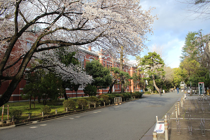 אוניברסיטת קיוטו