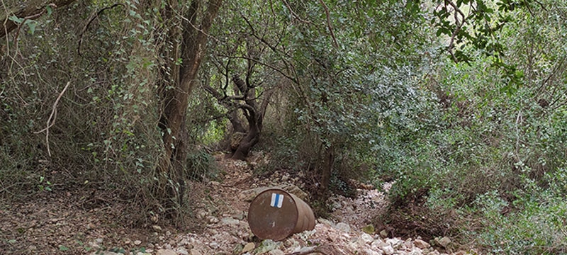 מסלול הליכה בנחל עובדיה חיפה